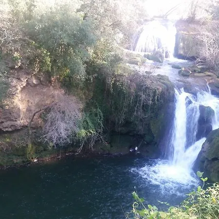 Un Petit Coin De Paradis *